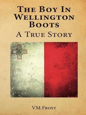 cover image of The Boy in Wellington Boots